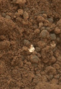 A spacegirl's best friend